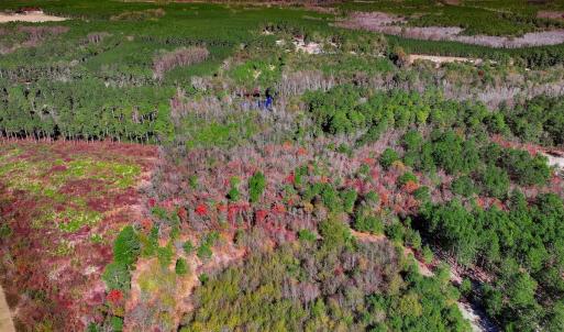 Photo #10 of Off Jesse Smith Rd, Laurel Hill, NC 22.5 acres