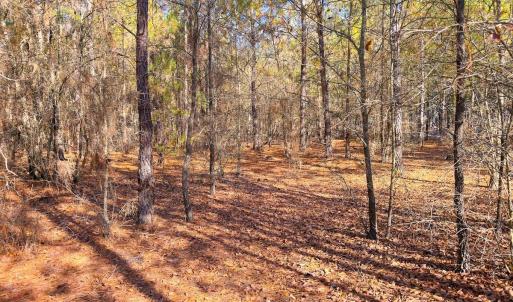 Photo #13 of Off Jesse Smith Rd, Laurel Hill, NC 22.5 acres