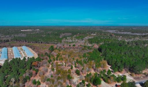 Photo #2 of Off Jesse Smith Rd, Laurel Hill, NC 22.5 acres