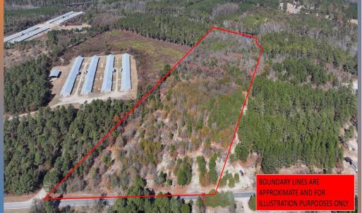 Photo #3 of Off Jesse Smith Rd, Laurel Hill, NC 22.5 acres