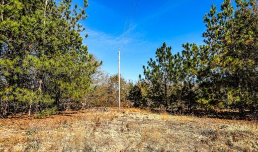 Photo #6 of Off Jesse Smith Rd, Laurel Hill, NC 22.5 acres