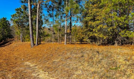 Photo #7 of Off Jesse Smith Rd, Laurel Hill, NC 22.5 acres