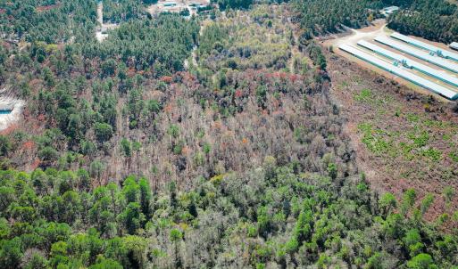 Photo #20 of Off Jesse Smith Rd, Laurel Hill, NC 22.5 acres