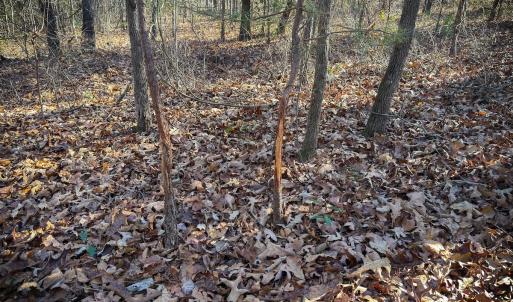 Photo #22 of Off Jesse Smith Rd, Laurel Hill, NC 22.5 acres