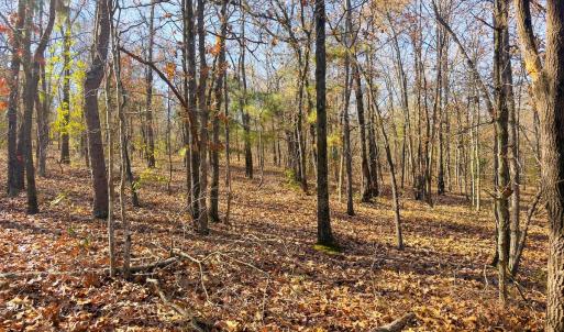 Photo #23 of Off Jesse Smith Rd, Laurel Hill, NC 22.5 acres
