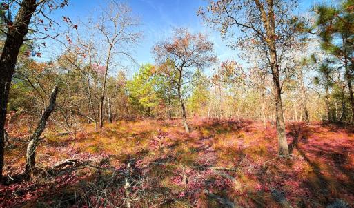 Photo #24 of Off Jesse Smith Rd, Laurel Hill, NC 22.5 acres