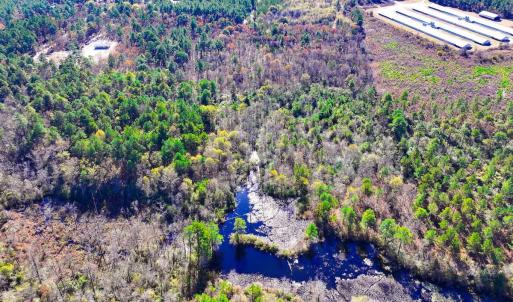 Photo #31 of Off Jesse Smith Rd, Laurel Hill, NC 22.5 acres
