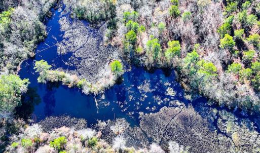 Photo #32 of Off Jesse Smith Rd, Laurel Hill, NC 22.5 acres