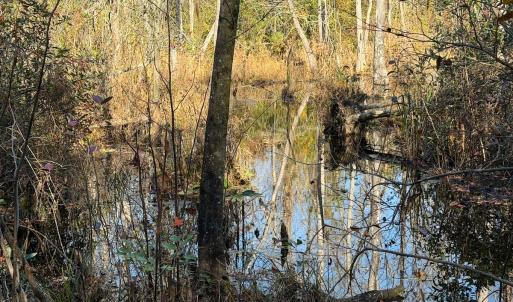 Photo #35 of Off Jesse Smith Rd, Laurel Hill, NC 22.5 acres
