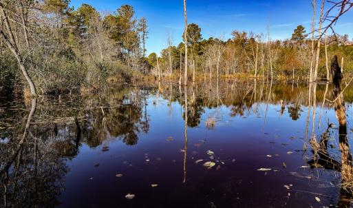 Photo #36 of Off Jesse Smith Rd, Laurel Hill, NC 22.5 acres
