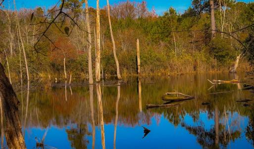 Photo #37 of Off Jesse Smith Rd, Laurel Hill, NC 22.5 acres