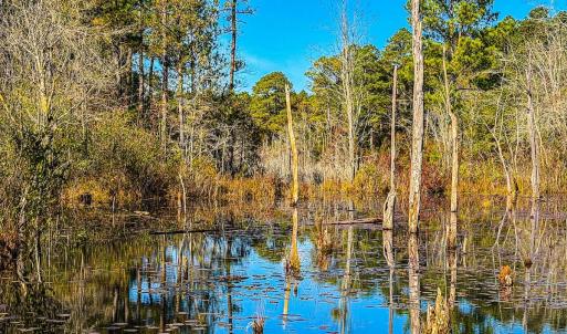 Photo #38 of Off Jesse Smith Rd, Laurel Hill, NC 22.5 acres