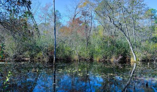 Photo #39 of Off Jesse Smith Rd, Laurel Hill, NC 22.5 acres