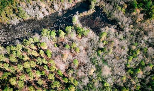 Photo #40 of Off Jesse Smith Rd, Laurel Hill, NC 22.5 acres