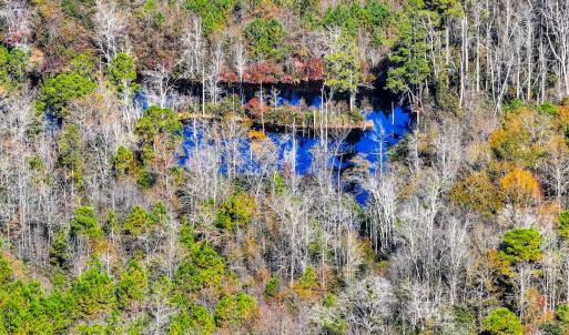 Photo #41 of Off Jesse Smith Rd, Laurel Hill, NC 22.5 acres