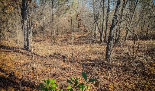 Photo #42 of Off Jesse Smith Rd, Laurel Hill, NC 22.5 acres
