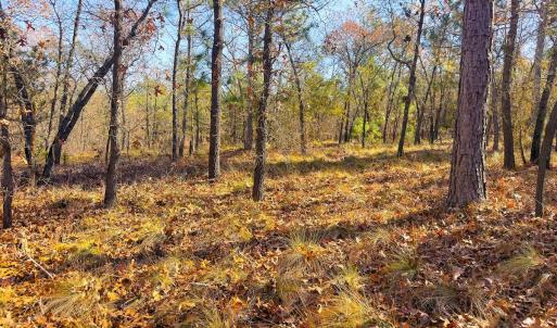 Photo #43 of Off Jesse Smith Rd, Laurel Hill, NC 22.5 acres