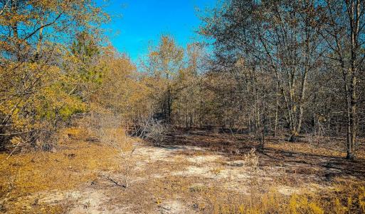 Photo #44 of Off Jesse Smith Rd, Laurel Hill, NC 22.5 acres