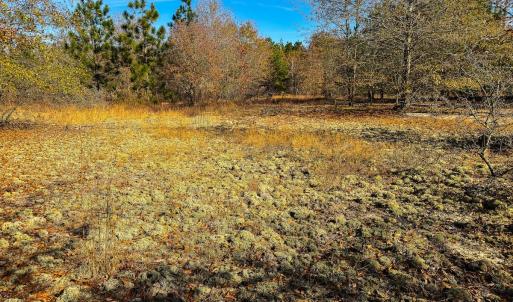 Photo #45 of Off Jesse Smith Rd, Laurel Hill, NC 22.5 acres