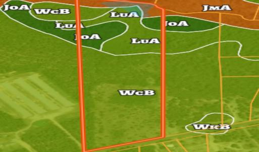 Photo #51 of Off Jesse Smith Rd, Laurel Hill, NC 22.5 acres