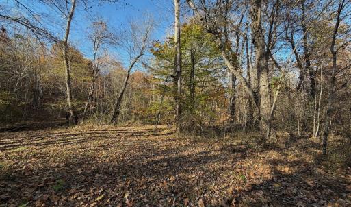 Photo #10 of  Off Beulah Road, Rocky Mount , VA 33.4 acres