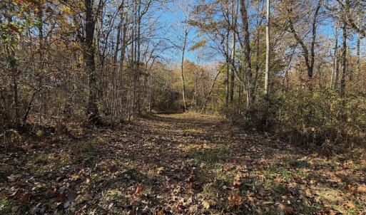 Photo #9 of  Off Beulah Road, Rocky Mount , VA 33.4 acres