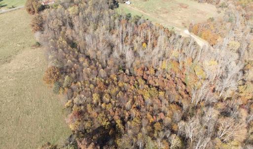 Photo #20 of  Off Beulah Road, Rocky Mount , VA 33.4 acres