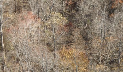 Photo #18 of  Off Beulah Road, Rocky Mount , VA 33.4 acres