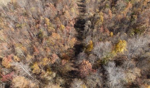 Photo #21 of  Off Beulah Road, Rocky Mount , VA 33.4 acres