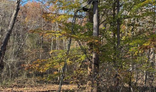 Photo #60 of  Off Beulah Road, Rocky Mount , VA 33.4 acres