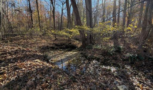 Photo #63 of  Off Beulah Road, Rocky Mount , VA 33.4 acres