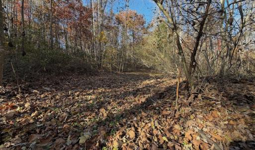 Photo #65 of  Off Beulah Road, Rocky Mount , VA 33.4 acres