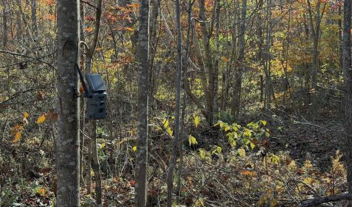 Photo #66 of  Off Beulah Road, Rocky Mount , VA 33.4 acres