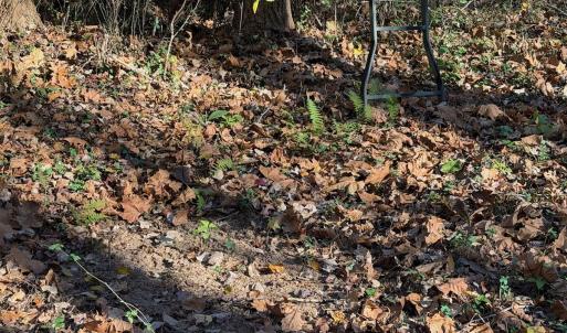 Photo #61 of  Off Beulah Road, Rocky Mount , VA 33.4 acres