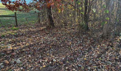 Photo #81 of  Off Beulah Road, Rocky Mount , VA 33.4 acres