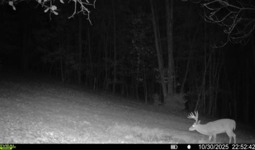 Photo #87 of  Off Beulah Road, Rocky Mount , VA 33.4 acres