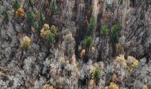 Photo #25 of Off Stone Drive, Roxboro, NC 40.8 acres