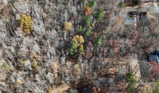 Photo #26 of Off Stone Drive, Roxboro, NC 40.8 acres