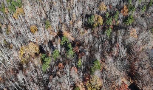 Photo #27 of Off Stone Drive, Roxboro, NC 40.8 acres