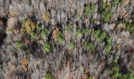 Photo #30 of Off Stone Drive, Roxboro, NC 40.8 acres