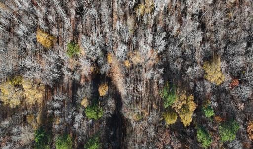 Photo #32 of Off Stone Drive, Roxboro, NC 40.8 acres