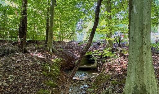 Photo #33 of Off Stone Drive, Roxboro, NC 40.8 acres