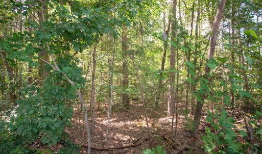 Photo #34 of Off Stone Drive, Roxboro, NC 40.8 acres