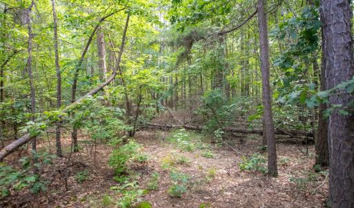 Photo #35 of Off Stone Drive, Roxboro, NC 40.8 acres