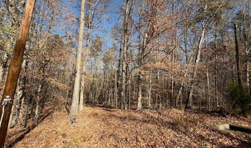 Photo #38 of Off Stone Drive, Roxboro, NC 40.8 acres