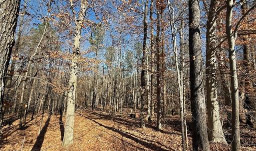 Photo #39 of Off Stone Drive, Roxboro, NC 40.8 acres