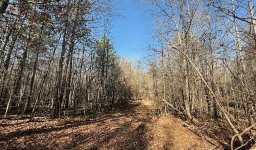 Photo #40 of Off Stone Drive, Roxboro, NC 40.8 acres