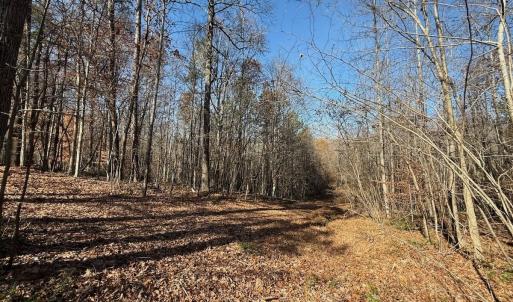 Photo #41 of Off Stone Drive, Roxboro, NC 40.8 acres