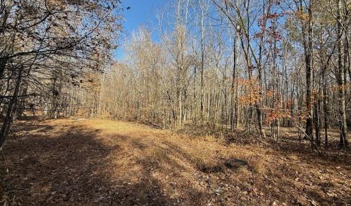 Photo #42 of Off Stone Drive, Roxboro, NC 40.8 acres