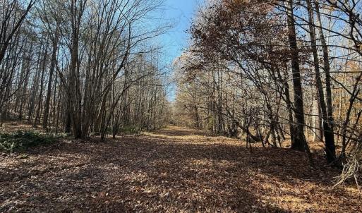 Photo #43 of Off Stone Drive, Roxboro, NC 40.8 acres